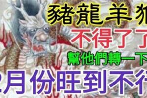 家有豬龍羊猴，今年不得了了！幫他們轉一下！二月份旺到不行