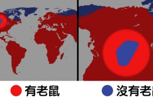 17個「你可以直接教地理老師」的世界各國小知識