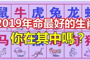 2019年命最好的生肖，與太歲相合，看看你在其中嗎？