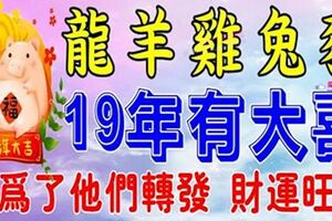 屬龍，羊，雞，兔，豬的人，2019年有大喜！請為他們轉一下，財運最旺盛~