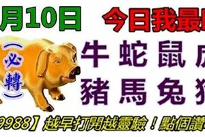 2月10日農曆正月十二屬相運氣(今日我最旺,時來運轉29988)