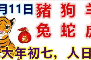 2月11日生肖運勢_豬、狗、羊大吉