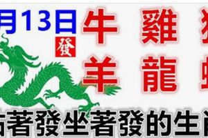 2月13日生肖運勢_牛、雞、猴大吉