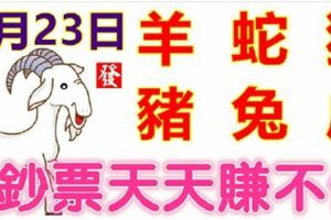 2月23日生肖運勢_羊、蛇、狗大吉