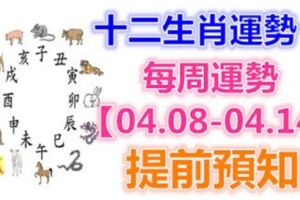 十二生肖運勢：每周運勢【04.08-04.14】提前預知！