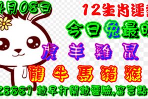 2019年4月8日，星期一農歷三月初四（己亥年戊辰月乙亥日）