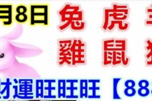 4月8日生肖運勢_兔、虎、羊大吉