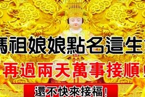 媽祖點名這六大生肖，萬事皆順，別怪我沒通知你，還不來接福