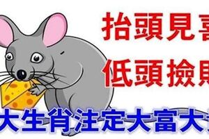 抬頭見喜，低頭撿財的6大生肖，註定一生富貴多金