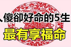 人傻錢多的5個生肖