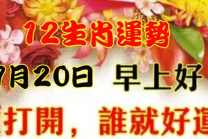 2019年7月20日，星期六，農歷六月十八（己亥年辛未月戊午日）