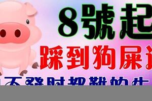 8月8號開始，踩到「狗屎運」的生肖，想不發財都難