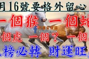 8月16號開始要格外留心了，一個猴，一個蛇，一個虎，一個？，一個馬必須轉啊