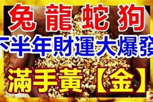 兔龍蛇狗4大生肖，下半年財運大爆發，滿手黃【金】