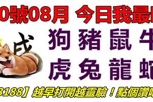 30號08月，今日我最旺！狗豬鼠牛虎兔龍蛇！【33188】越早打開越靈驗！點個讚吧！