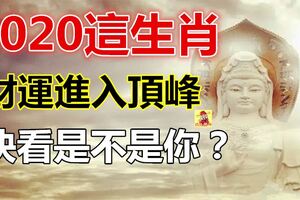 2020年財運會進入頂峰期的生肖！！！快看是不是你？