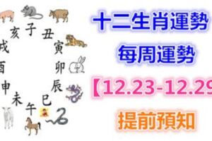 十二生肖運勢：每周運勢【12.23-12.29】提前預知！