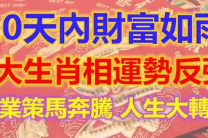 10天內財富如雨，3大生肖相運勢反彈，事業策馬奔騰，人生大轉彎