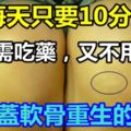 收藏！！讓膝蓋軟骨重生的方法：無需吃藥，又不用打針，每天只要10分鐘！