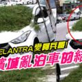 在檳城亂泊車的結果！ELANTRA車主擋住工人修剪草木，擋風玻璃被鋪雜草！