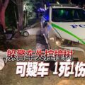 躲警車失控撞樹可疑車1死1傷