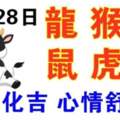 10月28日生肖運勢_龍、猴、牛大吉