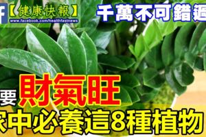 想要「財氣旺」，家中必養這8種植物！招財納福哦，千萬不可錯過~