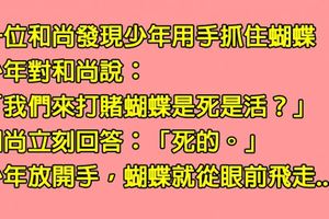 少年與和尚打賭手中的「蝴蝶是死是活」，少年得意洋洋地以為賭贏，沒想到回家後才知道「自己徹底輸透」了......