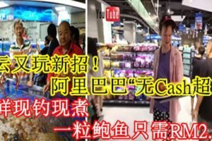 馬雲又玩新招！阿裡巴巴「無Cash超市」，海鮮現釣現煮，一粒鮑魚只需RM2.50！