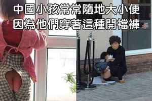 18個聽起來很像是亂掰的「中國獨有」超詭異事實，超惡的#8真的讓我感到好藍瘦香菇。