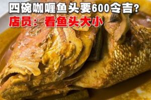 四碗咖喱魚頭要600令吉？店員：看魚頭大小我的天呀！