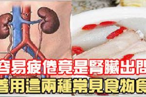 人容易疲倦，竟是腎臟出問題！！用這兩種常見食物食療，就能改善很多！不妨試試看！…