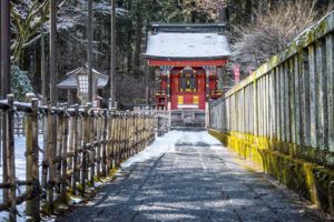 為啥日本的神長了個鳥樣？日本百年寺廟中供奉的妖怪