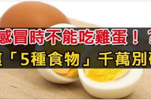 感冒時不能吃雞蛋！？這「5種食物」千萬別碰，一碰病情加重，再吃好不了！