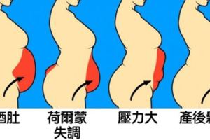 16種「不同體態隱藏著的健康狀況」　蘋果型身材內髒脂肪太多會有糖尿病