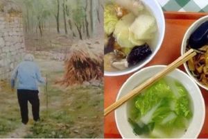 兒子不懂老媽為何每天「往樹林裡放飯」？10年後他發了一筆財，才恍然母親「放飯的秘密...」！