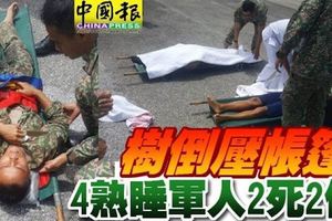 樹倒壓帳篷4熟睡軍人2死2傷