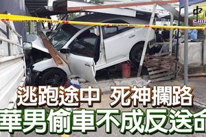 逃跑途中死神攔路華男偷車不成反送命