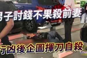 男子討錢不果殺前妻行兇後企圖揮刀自殺