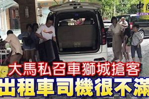 私召車接送遊客服務競爭激烈，大馬車輛到新國搶灘載客，出租車司機很不滿！