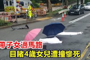 母帶子女過馬路目睹4歲女兒遭撞慘死