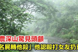 筍農深山驚見頭顱「無名屍轉他殺」他認毆打女友扔荒野