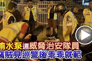 偷水泵被發現，還威脅治安隊員,竊賊見巡警後乖乖就範