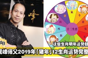 蘇民峰師父2019年「豬年」12生肖運勢完整版！這些生肖明年運勢超好的！