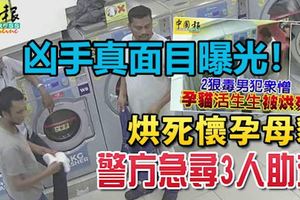 ﻿烘死懷孕母貓,兇手真面目曝光！警方急尋3人助查！