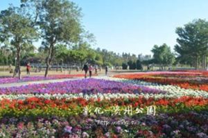 新增一登革熱病例溪州公園暫停開放