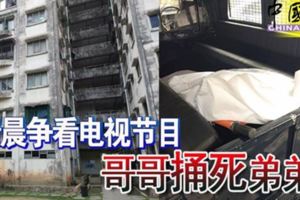 清晨爭看電視節目哥哥捅死弟弟