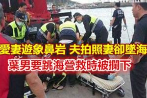 帶愛妻遊象鼻岩夫拍照妻卻墜海亡