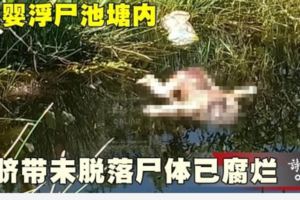 數日大男嬰浮屍池塘內臍帶未脫落屍體已腐爛