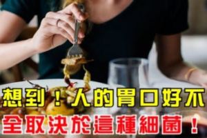 沒想到人的胃口好不好，全取決於這種細菌！